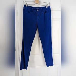 Loft skinny pants